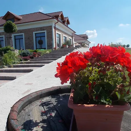Guest house St Peter Vini 3*