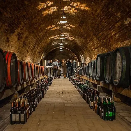 St Peter Vini Svaty Peter