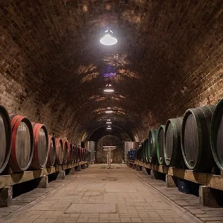 St Peter Vini