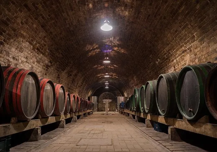 St Peter Vini